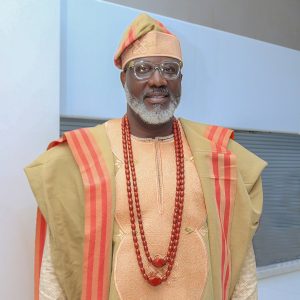 Dino Melaye Biography